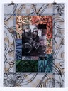 11 Solo 15x11 photo-collage,-fiberglas 2017-WEB