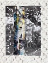 14-GSkudera Puddle-Jump-2019 hi-res-TRIM-WEB