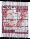 Panel-6 12-x-8.5-inches woven-transparency