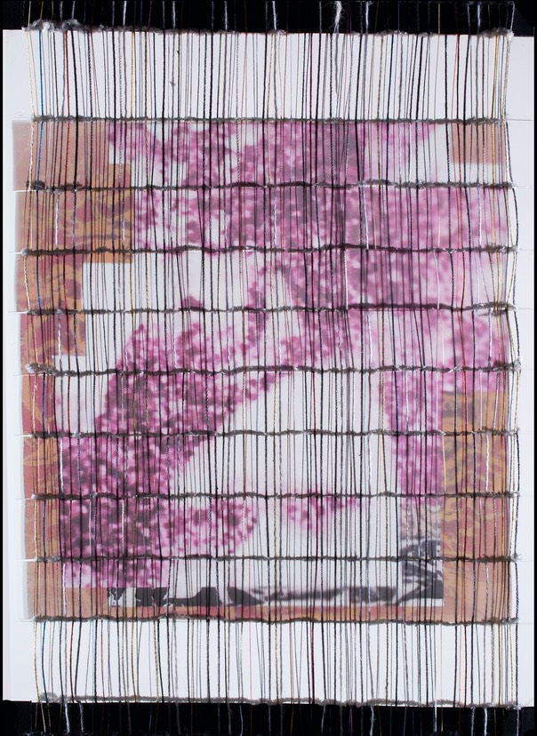 Panel-One 12-x-8.5-inches woven-transparency